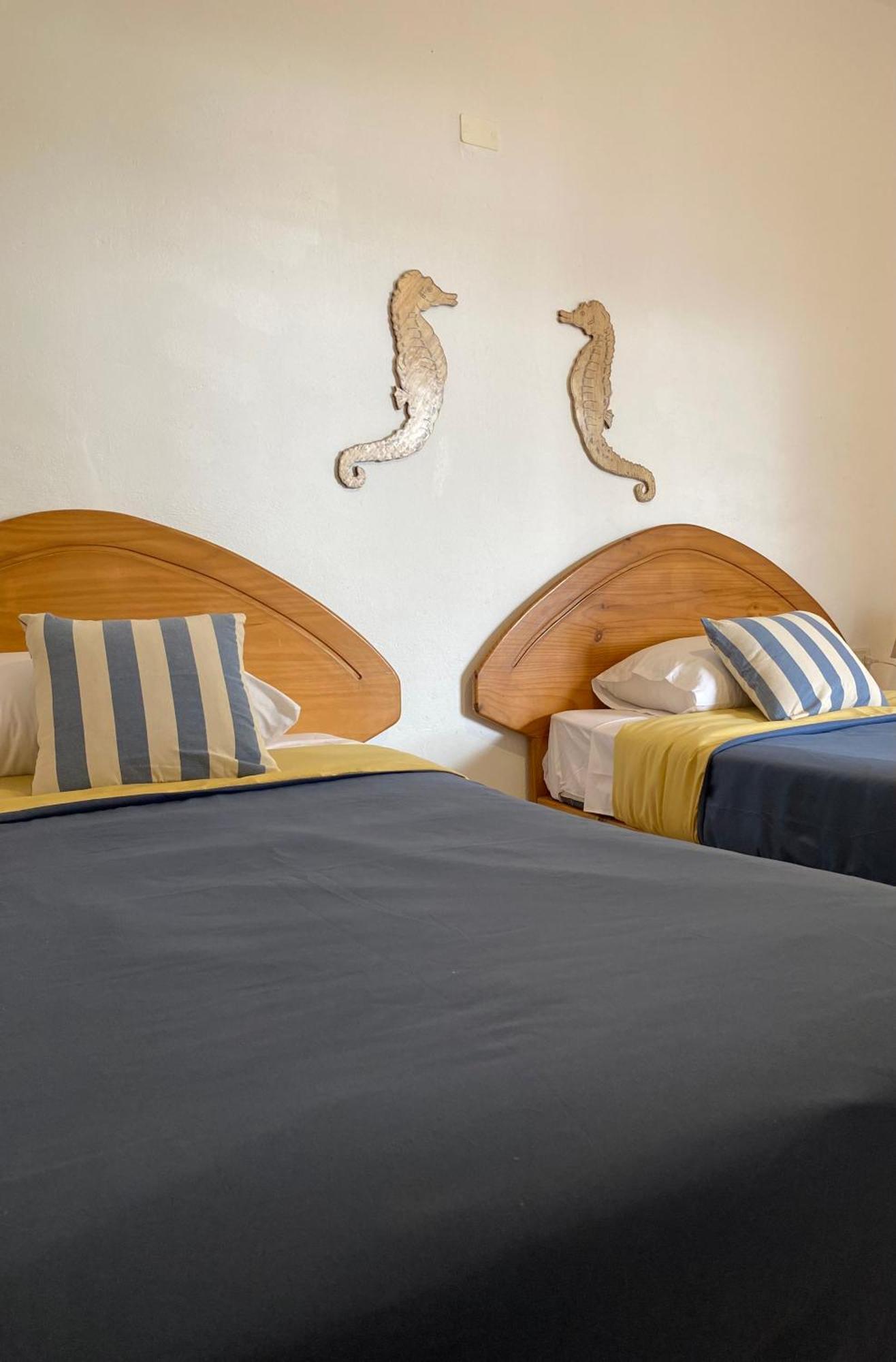Ravenala Paracas Hostel 外观 照片